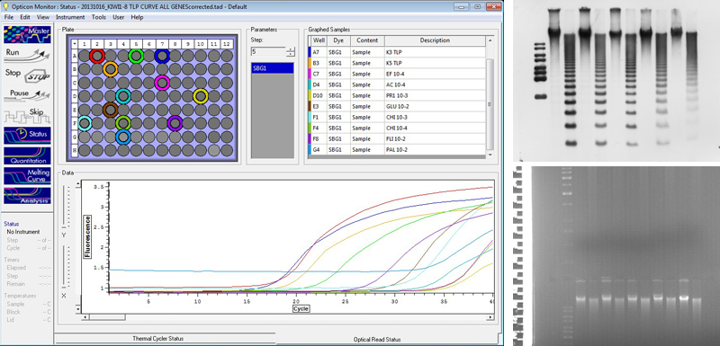 Lab_Bernacchia_01.jpg