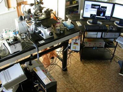 Lab_Rispoli_1.jpg